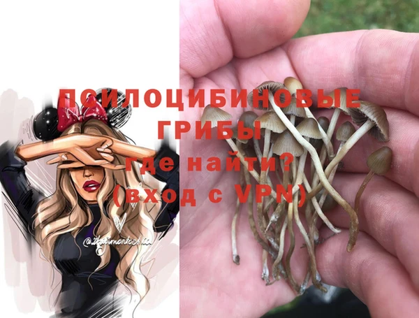 винт Медногорск