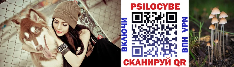 Псилоцибиновые грибы прущие грибы  Ивангород 