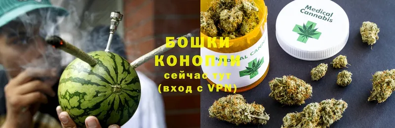 Конопля SATIVA & INDICA  MEGA как зайти  Ивангород 